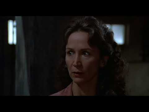 Amityville II: The Possession (1982)