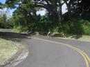 speedin downhill in town