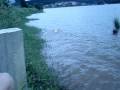 videos de Ano Novo 2009 039