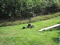 Golf Buggy