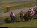 1986 (229) Premio BIARRITZ (Hándicap) (1.ª C.) (SANSE)