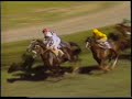 1986 (229) Premio BIARRITZ (Hándicap) (1.ª C.) (SANSE)