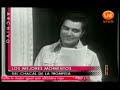 chacal de la trompeta   los mejores!!!!