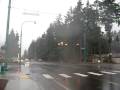 videos de Yellow light for my accident