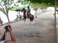 BRAZILIAN COWBOY