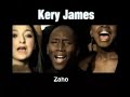 tous les visages de la musique urbaine !!!kery james, sinik, lynnsha, ta�ro, brasco, l'skadrille, va�, mainy dog, medhy custos et big ali !