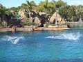 [Australia] Gold Coast - Sea World [Dolphins]