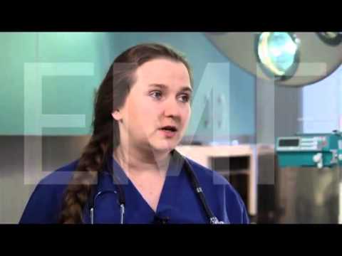 Ротовая полость собак. Рвота после еды.