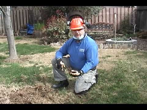 Rodent Blaster