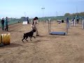 AGILITY CANIC AGILITY CANIC