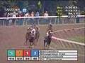 Bernardini - 2006 Travers Stakes