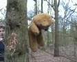 alles in 1 bos avontuur!