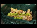 Festival de Cans, Gritos en el pasillo