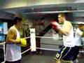 videos de Boxing Blooper