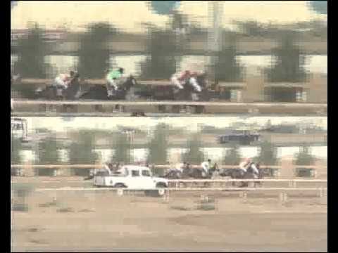 racing results cheltenham