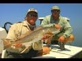 Homossasa Reds - CRYSTAL CLEAR fishing for redfish