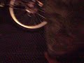 Heskey Rides Into A Door