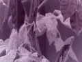 Smart dust, electro magnetism Smart dust, electro magnetism