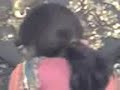 Request to tabeer