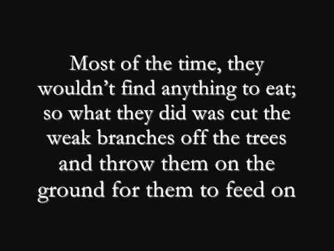 Describe your grandfather picture