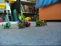 toytown adventures 7 (the fight)