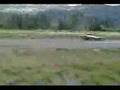salto acrobatico