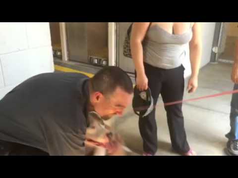 7 miesięcy temu złodzieje ukradli mu psa. Zobacz ich wzruszające spotkanie po tak długiej rozłące!