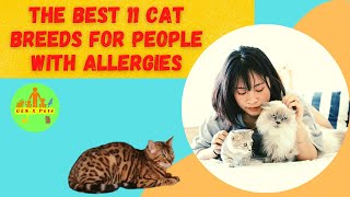 The Best 11 Cat Breeds for People With Allergies