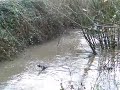 zebleu en mxu 500 (quad) va prendre un bain chez ses copains! (video 4)