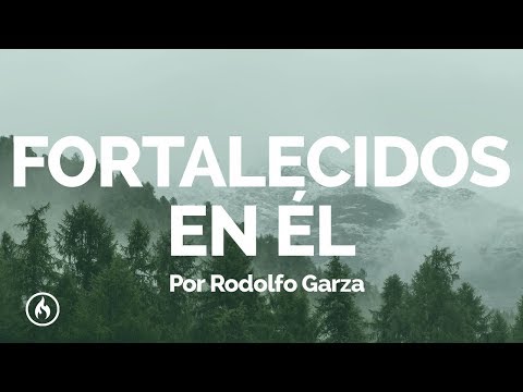 Ver video