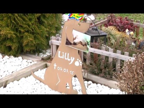München: Tierfriedhof München - Die letzte Ruhe für d ...