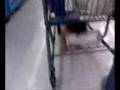 Adventures with Nevaeh #1, The Shopping Cart