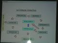 CADENA COGNITIVA CADENA COGNITIVA