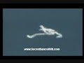 UFO Orbs and flying Serpents