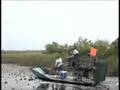 Airboating in Glades Part II