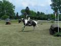 2007 IEA Horse Trials