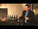 Velenosi - mein Weingut des Jahres 2008.mp4 Velenosi - mein Weingut des Jahres 2008.mp4
