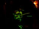 Red Lion, Avignon : Jam Session feat. Steph