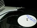 Concord Dawn-Say Your Words Concord Dawn-Say Your Words