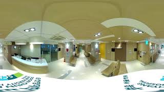 VR карта - амбулаторные приемы и госпитализация -