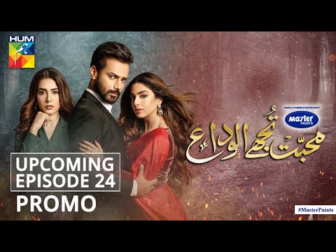 Mohabbat Tujhe Alvida Upcoming Episode 24 Promo | Digitally Powered By Master Paints | HUM TV Drama