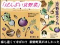 お・ばんざい