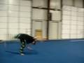 Flips -- Just some flips i taught myself at the gym on feb 11, ro- back tuck, ro- arabian, and aerial