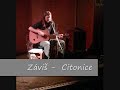 Citonice - Záviš