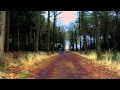 Chosen One Promo