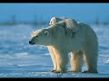 Johannes Brahms – Cancion de Cuna