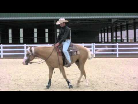 how to properly neck rein a horse