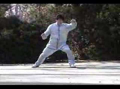 發勁发劲Yizungyue - Sifu Wei-Chung Lin (林維中), a disciple of the Yizungyue (易宗岳) School and the Chief Instructor of the Chinese Taoist Martial Arts Association ( http://ctmaa.com...