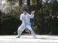 fajin  fajing  in chen tai chi cannon fist and applications