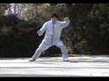 Fajin (Fajing) in Chen Tai Chi Cannon Fist and Applications
